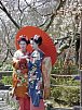Zauberhaftes Japan (inkl. Flug)