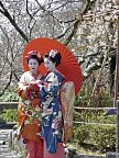 Zauberhaftes Japan (inkl. Flug)