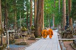 Japan mit allen Sinnen (inkl. Flug)