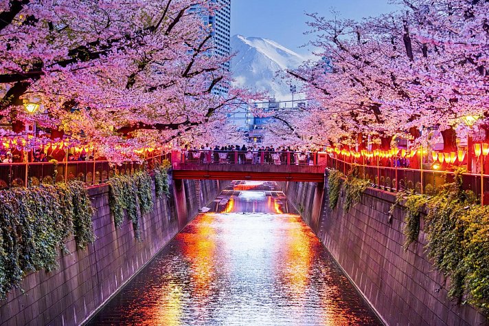 Japan mit allen Sinnen (inkl. Flug)