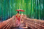 Japans Insel-Quartett (inkl. Flug)