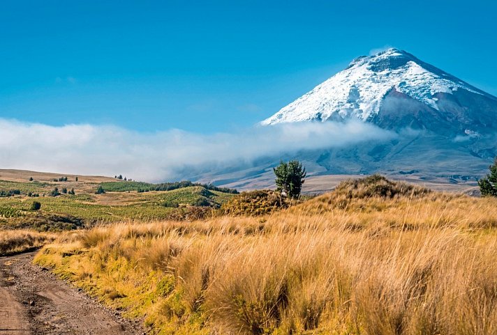 Farbenprächtiges Ecuador - Cotopaxi
