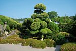 Japans goldene Route (nur Landprogramm)