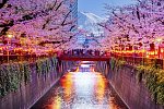 Japans goldene Route (nur Landprogramm)