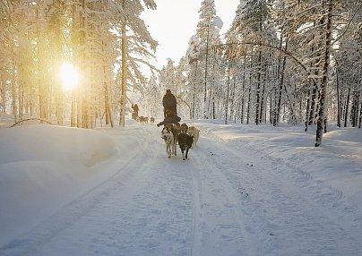 ADAC Mitgliederreise Schweden – Wintermärchen Lappland