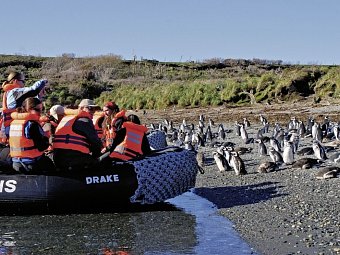 Traumlandschaften am Ende der Welt: Ventus Australis ab Ushuaia - Ausflug mit dem Zodiac