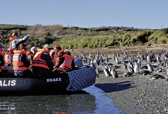 Traumlandschaften am Ende der Welt: Ventus Australis ab Ushuaia - Ausflug mit dem Zodiac