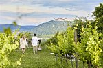 Steigenberger Hotel & Spa Krems