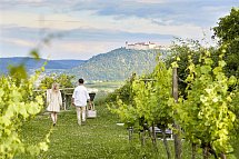 Steigenberger Hotel & Spa Krems