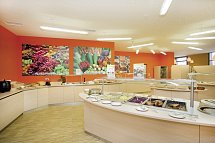 JUFA Hotel Wien City - Buffet