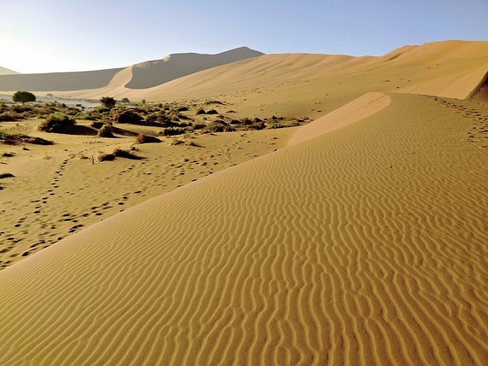 Namibia Classic Standard
