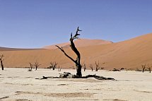 Namibia Classic Standard
