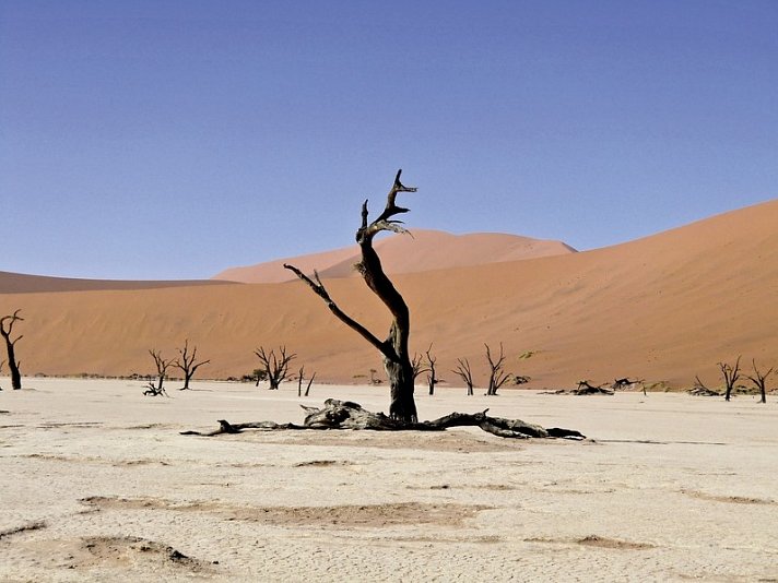 Namibia Classic Standard