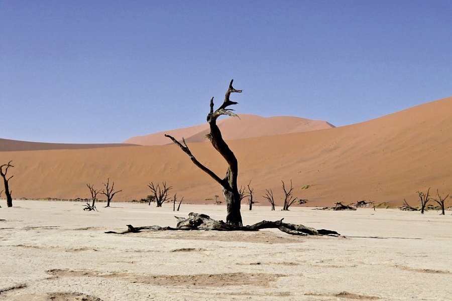 Namibia Classic Standard