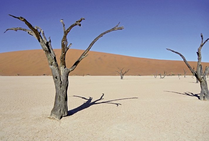 Namibia Classic für Selbstfahrer - Dead Vlei
