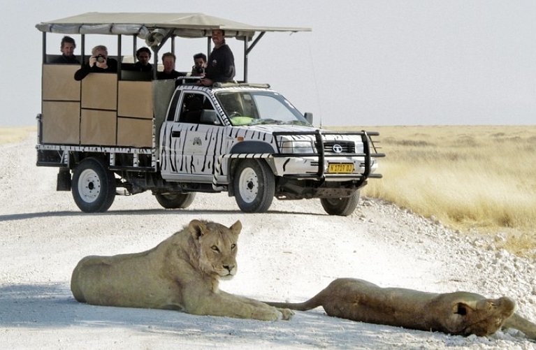 Ausflugspaket Etosha Nationalpark Superior