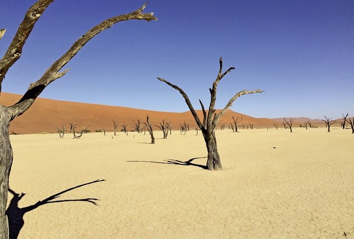 Traumreise Namibia