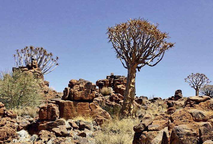 Traumreise Namibia