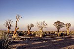 Traumreise Namibia