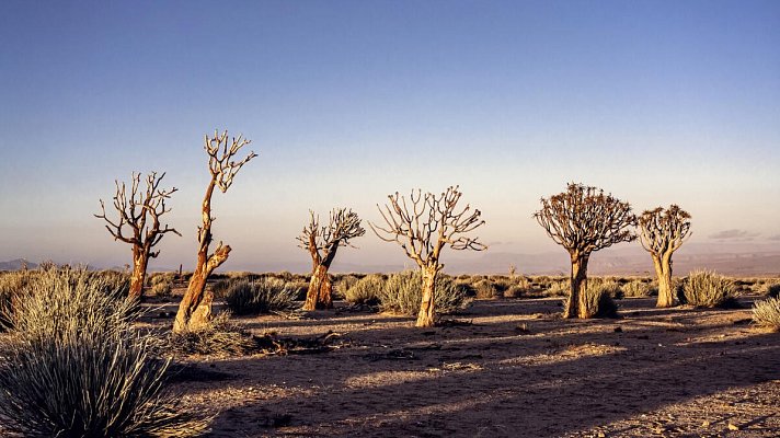 Traumreise Namibia