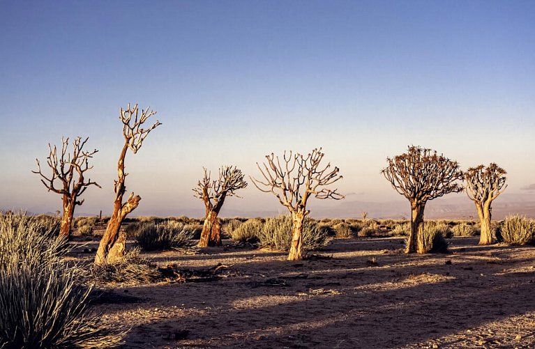 Traumreise Namibia