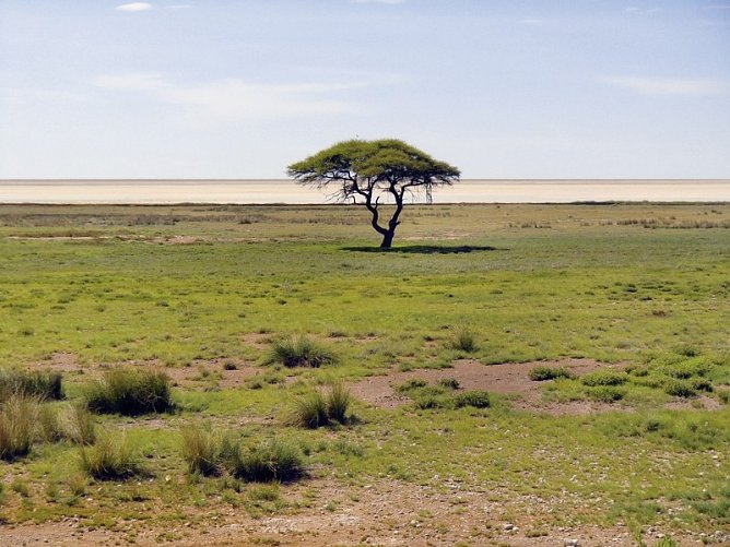 Traumreise Namibia