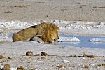 Traumreise Namibia