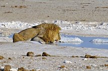 Traumreise Namibia