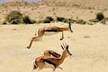 Traumreise Namibia