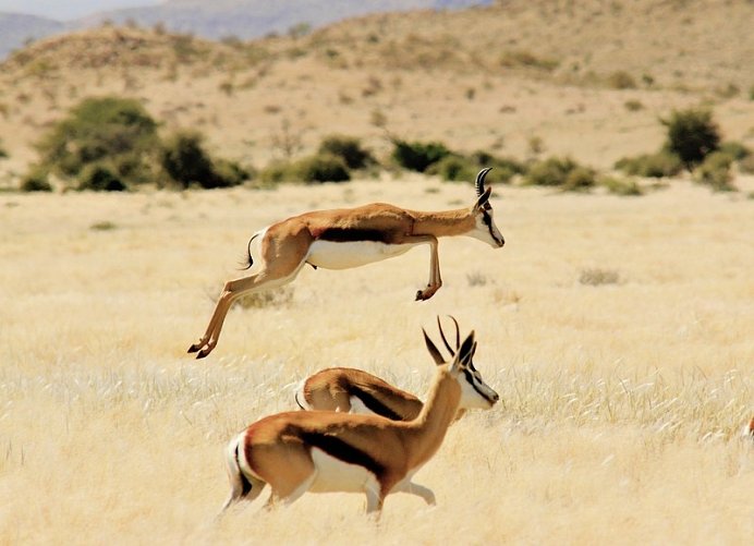 Traumreise Namibia