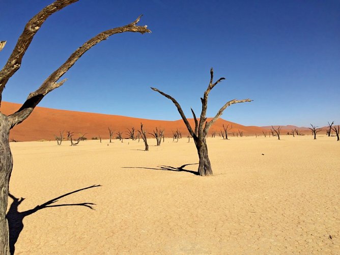 Traumreise Namibia - Dead Vlei
