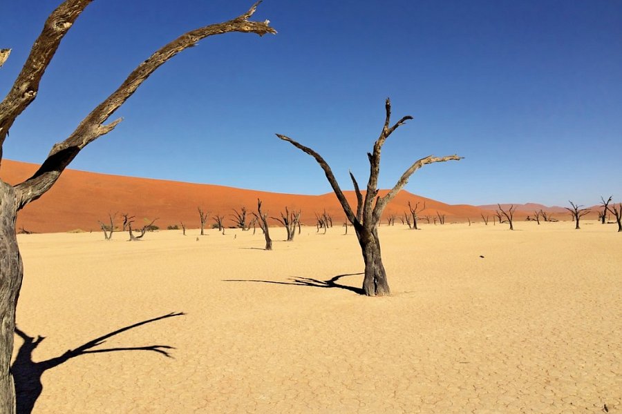 Traumreise Namibia - Dead Vlei
