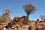 Traumreise Namibia