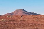 Traumreise Namibia