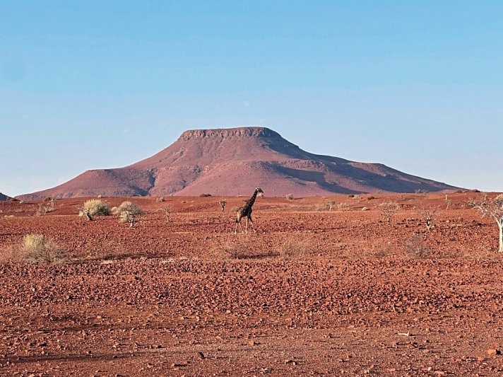 Traumreise Namibia