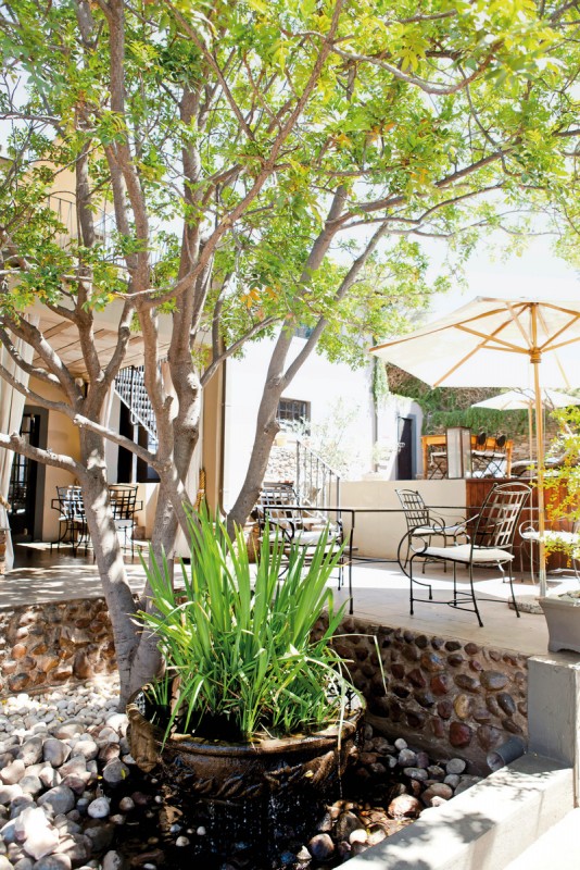 Olive Grove Guesthouse