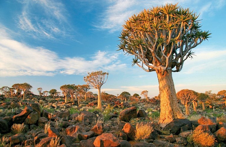 Best of Namibia Standard