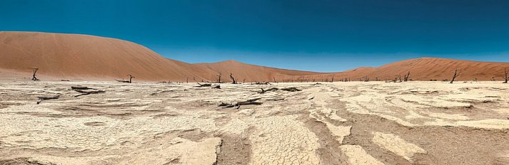 Grandiose Landschaften Südens - Dead Vlei