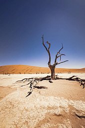Grandiose Landschaften Südens - Dead Vlei