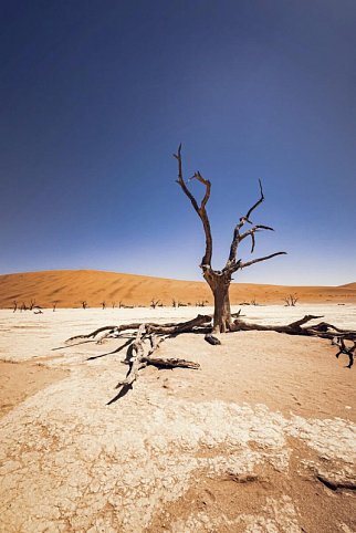 Grandiose Landschaften Südens - Dead Vlei