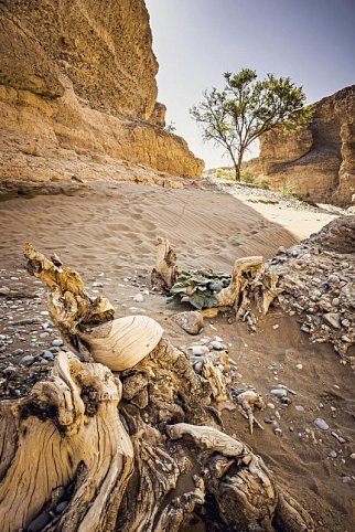 Grandiose Landschaften Südens - Sesriem Canyon
