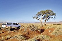 Grandiose Landschaften Südens - Kalahari