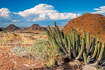 Tiere und Kultur des Nordens - Damaraland