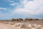 Tiere und Kultur des Nordens