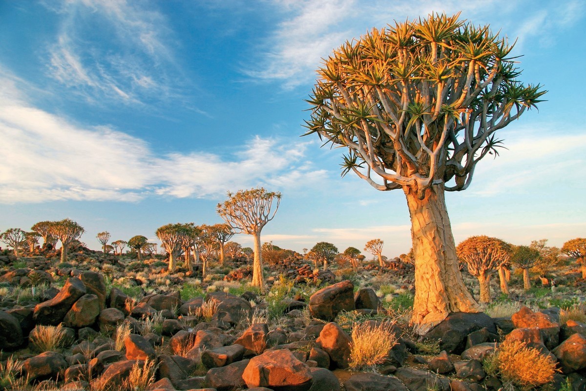 Best of Namibia Superior
