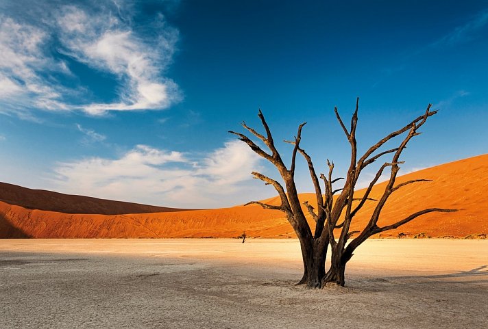 Namibia zum Verweilen - Dead Vlei