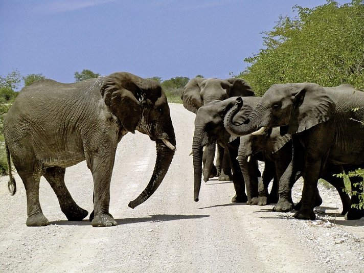 Namibia zum Verweilen