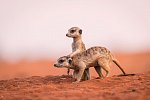 Namibia zum Verweilen
