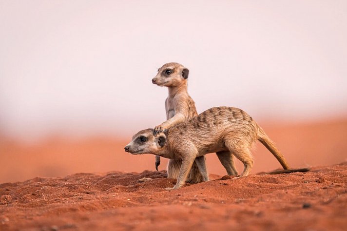 Namibia zum Verweilen