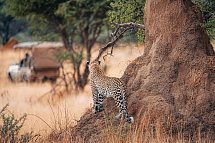 Namibia zum Verweilen - Wildbeobachtungsfahrt